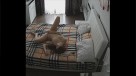 03-(4)