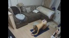 08-(1)